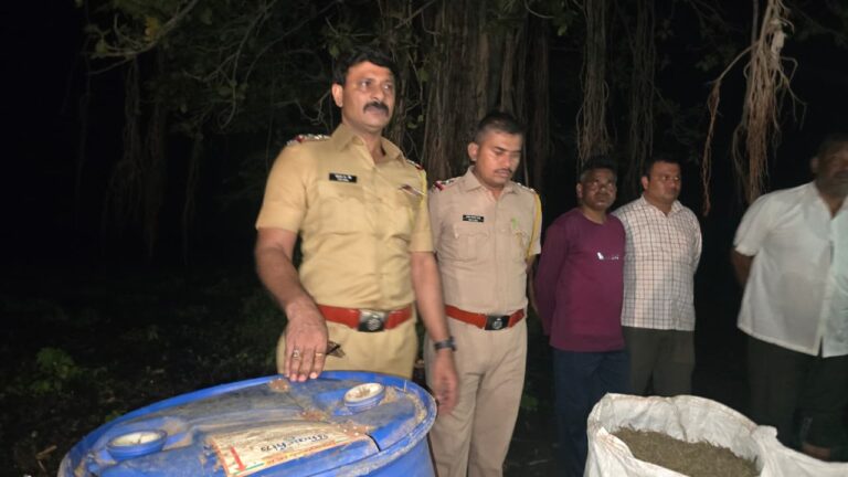 ऊसाच्या पिकात लपविलेला 16 लाखांचा गांजा शिरपूर तालुका पोलिसांनी केला जप्त….