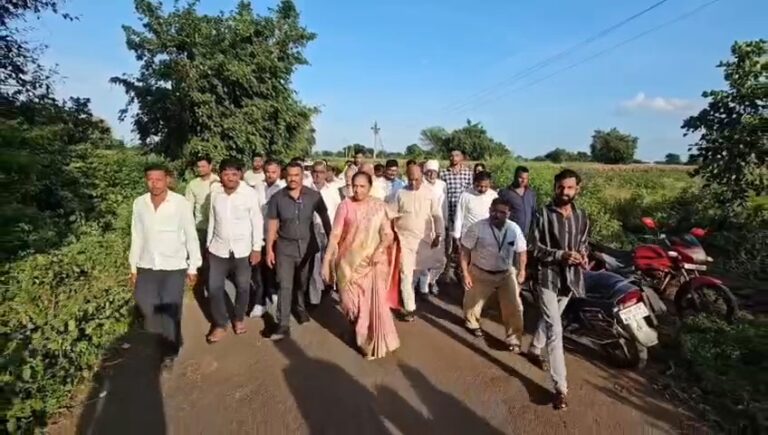 Dhule News अतिवृष्टीमुळे शेतकऱ्यांचे प्रचंड नुकसान; खासदार डॉ. शोभा बच्छाव यांच्या नेतृत्वाखाली पाहणी, तात्काळ मदतीची मागणी